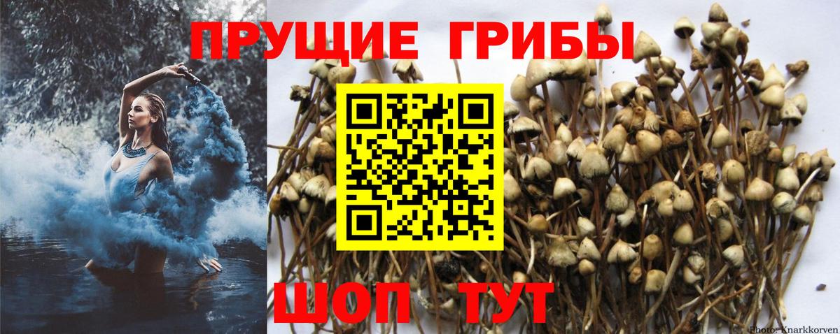 где купить наркотик  Вход с VPN  Апрелевка  Галлюциногенные грибы мухоморы 